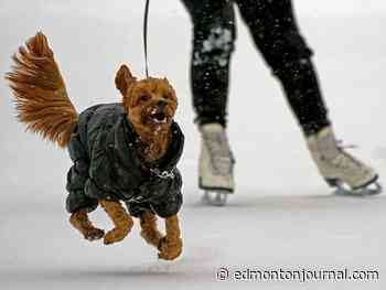 Edmonton weather: Mainly cloudy, gusting winds and a chance of flurries