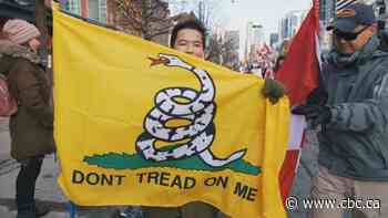 From snakes to Spartans: The meaning behind some of the flags convoy protesters are carrying