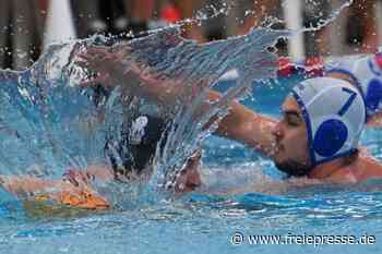 Wasserballer auf Erfolgswelle - Freie Presse