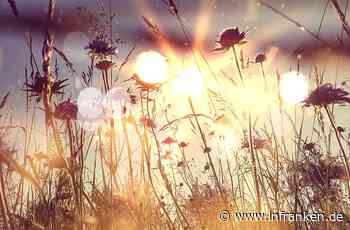 Der Pieks gegen den Zeckenstich