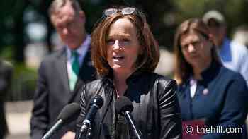 Democratic Rep. Kathleen Rice to retire from the House