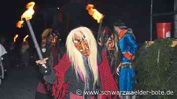 Das meiste läuft online: Narrenzunft Unterschwandorf bleibt diese Saison im eigenen Ort
