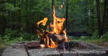 Enchanted Forest wellbeing event coming to Wirral with meditation and music - Liverpool Echo