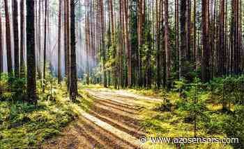 Furthering Forest Restoration Strategies With Remote Sensing - AZoSensors