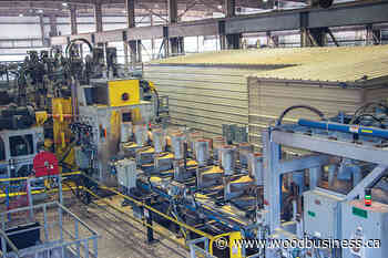 Southern asset: Inside West Fraser's newest acquisition, Angelina Forest Products - Wood Business - Canadian Forest Industries