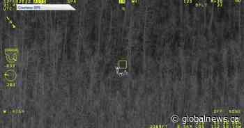 Hikers lost at Elk Island National Park rescued with help of Edmonton police helicoper