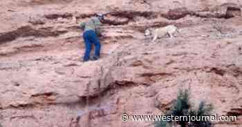 Missing Dog Found Stuck on Cliff: Local Rescuers, Fire Department and Owner Work to Get Her Down