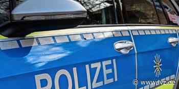 Wippen in Oschatz beschädigt – Polizei hat drei Verdächtige - Leipziger Volkszeitung