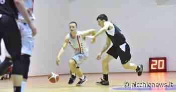 Halley Matelica, le assenze non bastano e arriva la vittoria contro la Robur Osimo - Picchio News