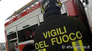 Fermo: non rispondeva ai familiari, trovato senza vita dentro casa - eTv Marche: Notizie, Live e Trasmissioni - Redazione ETV Marche