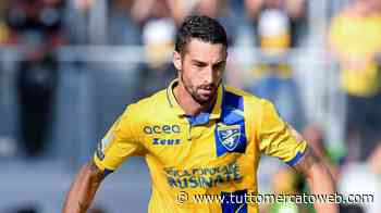 Ascoli, Salvi: "Puniti su un calcio da fermo. Non sappiamo perchè in casa facciamo fatica" - TUTTOmercatoWEB.com - TUTTO mercato WEB