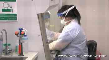 State reports 294 new coronavirus infections, no additional deaths - Hawaii News Now