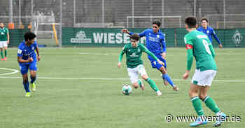 U19 gewinnt gegen Jena - Werder Bremen