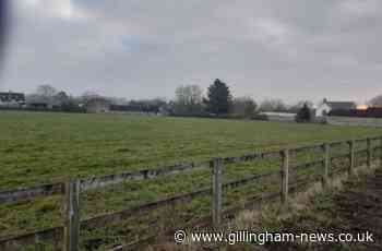 Developers unveil plans for 43 park homes on greenfield site in Gillingham - Gillingham News