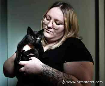 Après un sauvetage en urgence à Saint-Raphaël, 50 chats et chatons cherchent familles d’accueil