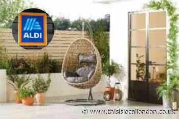 When is Aldi's egg chair back on sale?