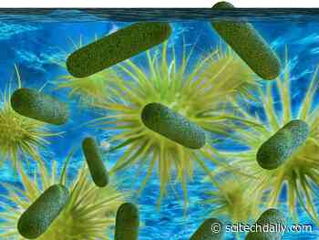 Ancestors of Legionella Bacteria – Which Causes Legionnaires’ Disease – Infected Cells Two Billion Years Ago