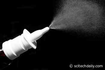 “Biological Mask” Administered With a Nasal Spray Can Protect Against COVID-19