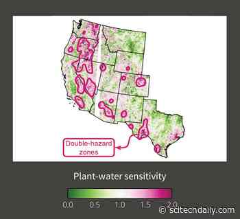 Stanford Researchers Identify Dangerous “Double-Hazard” Zones for Wildfire in the West
