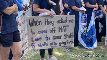 Placards at NSW nurses strike reveal full horror of overstressed health system
