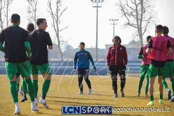 Serie C | Calcio Lecco: con De Paola numeri da quinto posto. Prima la salvezza, poi l'assalto a un posto al sole per i play off - Lecco Channel News
