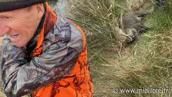 Frontignan : succès pour la première grande régulation des sangliers dans la zone des Aresquiers - Midi Libre