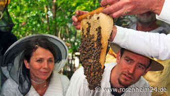 Imkerkurs „Mit den Bienen durchs Jahr“ in Prien am Chiemsee
