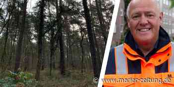 Stadt Marl lässt Kiefern fällen: ZBH-Chef Michael Lauche erklärt Grund - Marler Zeitung