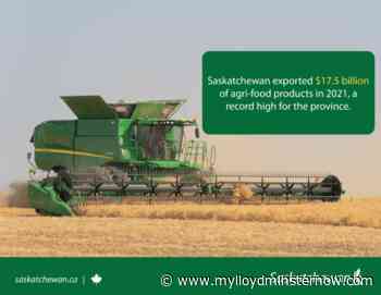 Saskatchewan reports record ag exports for 2021 - My Lloydminster Now