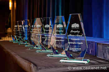 Kamloops city council opens nominations for Exemplary Service Awards - Kamloops News - Castanet.net