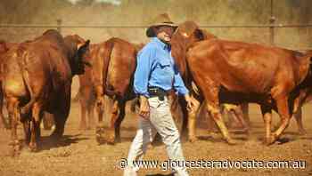 'Twiggy' Forrest grabs a stake in Australia's biggest beef producer - Gloucester Advocate