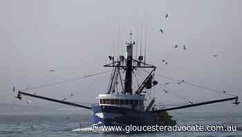 Four dead as fishing boat sinks off Canada - Gloucester Advocate