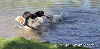 Run a marathon, enjoy art: 13 things to do in The Woodlands area in February and March - Community Impact Newspaper