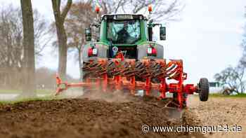 Traunstein: Umstellungswillige Bauern bremst derzeit der Markt aus - chiemgau24.de