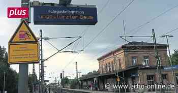 Eine kommunale Sicherheitskonferenz für Heppenheim - Echo Online