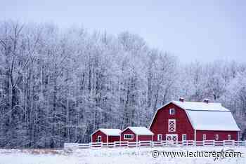 Al Dixon Photography wins Award of Creative Excellence - Leduc Representative