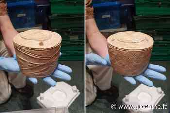 Il "tamburo" di gesso è l'opera d'arte preistorica più importante scoperta in questo secolo - greenMe.it