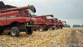 Ukrainische Wirtschaft: Mehr als "Europas Kornkammer" - tagesschau.de