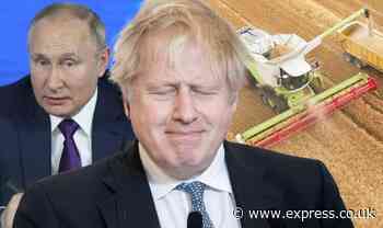 UK food crisis with 'massive spike in prices' as Russia bans export of major commodities - Daily Express