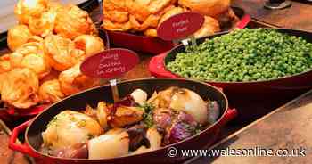 You can get a bag full of unwanted food from Toby Carvery for less than £4 - Wales Online