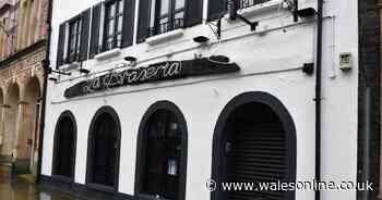 Popular Swansea Wind Street venue handed one food hygiene rating - Wales Online