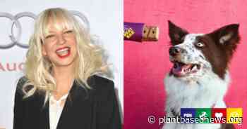 Sia Invests In Cultured Pet Food To Help Build A ‘Cruelty-Free Future For All Animals’ - Plant Based News