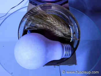 Energia: principio di vita o espediente di guerra, l'opera di Guadagnuolo - TusciaUp