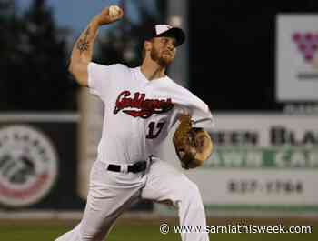 Goldeyes bolster bullpen | Sarnia & Lambton County This Week - Sarnia and Lambton County This Week