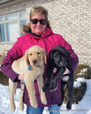 Foster homes needed for autism dog services puppies - Sarnia and Lambton County This Week