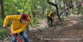 Realizan trabajos preventivos en el norte de Cuernavaca, contra incendios - Diario de Morelos