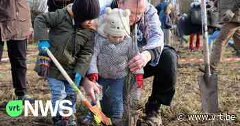 Gepensioneerde boswachter plant samen met 150 vrijwilligers een bos aan in Evergem - VRT NWS