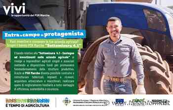 Bando PSRMarche sottomisura 4.1. Il 10 febbraio a Cagli il seminario di presentazione - fanoinforma