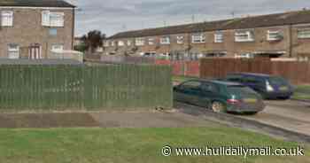 Bransholme hairdresser attacked pregnant neighbour with garden fork and glass - Hull Live