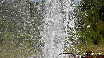 Wissenschaftler erforschen Mikroorganismen: Der Andernacher Geysir steckt voller Leben - Rhein-Zeitung